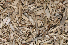 biomass boilers Efail Fach